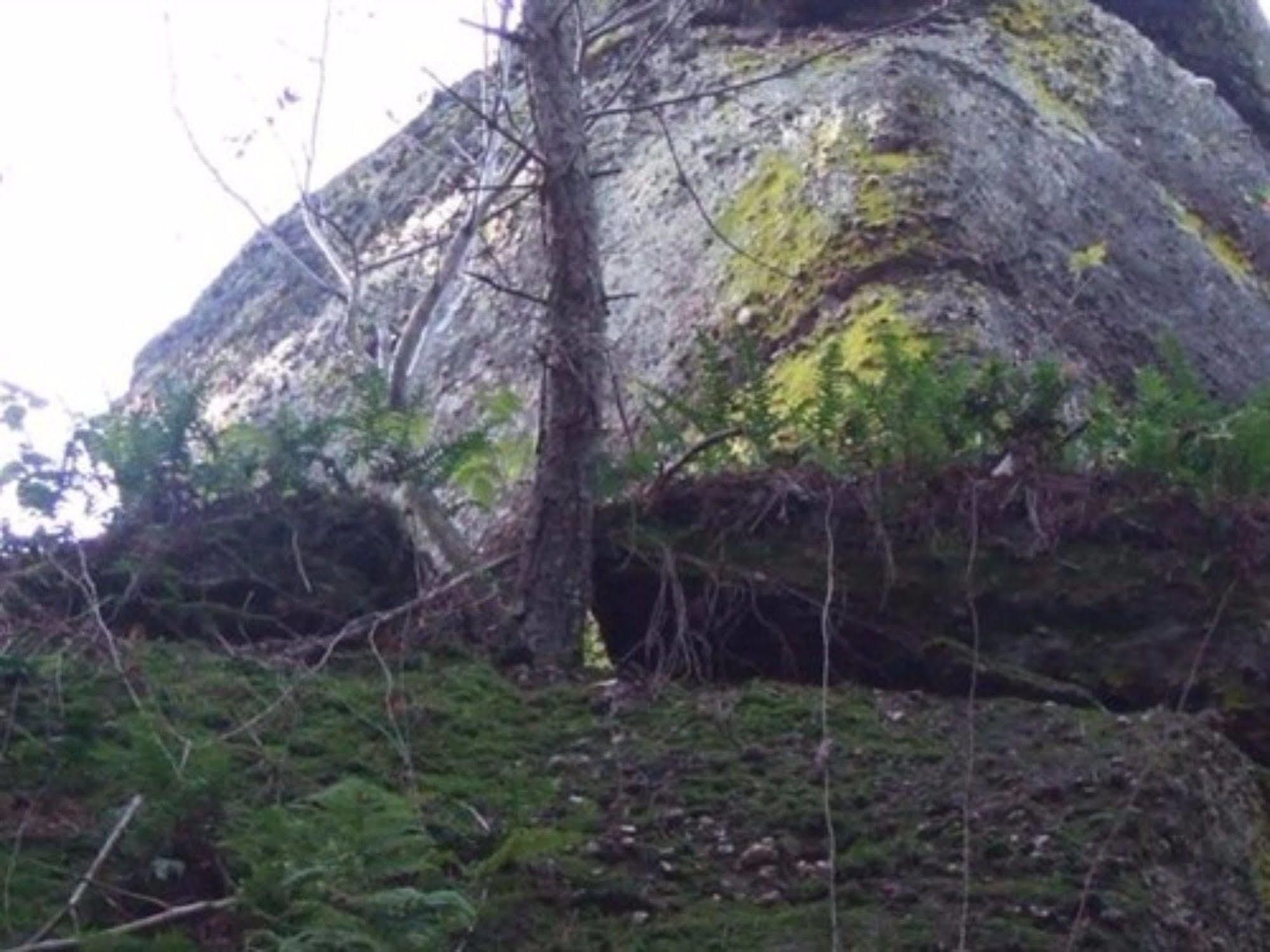 Auberge D'Hotes L'Instant Le Hohwald Dış mekan fotoğraf
